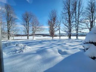 Winter Gardening Tips – Preparing Your Plants for Western New York’s Cold Months
