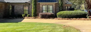 How Professional Landscape Maintenance Protects Property Value