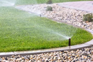 Lawn Care 101: How to Keep Your Grass Green and Healthy in Tupelo’s Climate