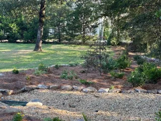 Why Professional Landscape Maintenance Protects Property Value