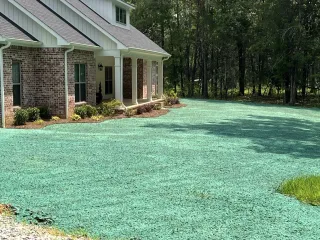 How Landscaping Services in Tupelo, MS Can Boost Your Home’s Value