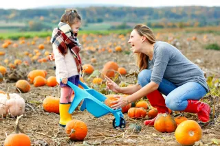 Fall Events in Sugar Land, Sienna, and Missouri CityNew Blog Post