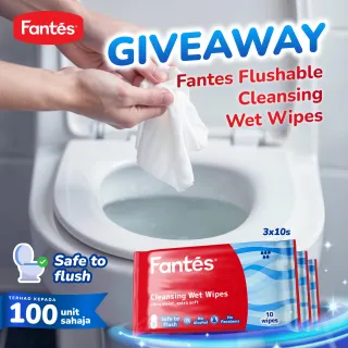 Fantes Cleansing Wipes (10SX3) - Flushable