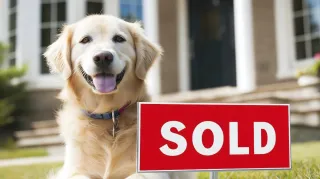 FSBO (For Sale By Owner):
