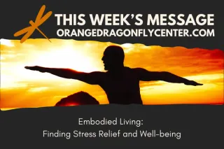 Embodied Living: Finding Stress Relief and Well-being