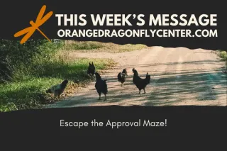 Escape the Approval Maze!
