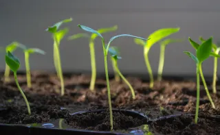 Growing Too Fast? How to Scale Your Business Without Losing Financial Control
