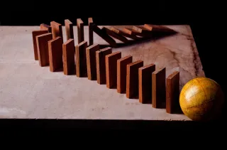 The Discipline Domino
