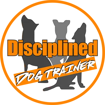 Disciplined Dog Trainer