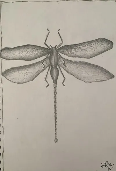Original work by Anna Chittick