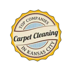 Top Cleaning Company
