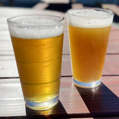 A glass of Grapefruit IPA