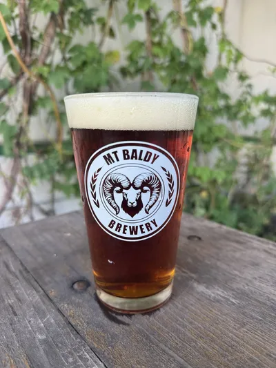 A glass of Hammer of Thor extra IPA