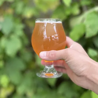 A glass of Lucille Blonde