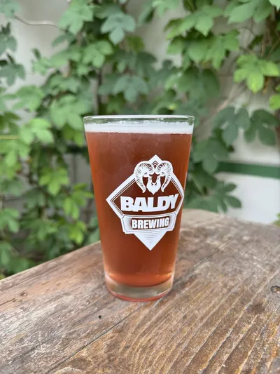 A glass of Sierra Hut Backcountry berry ale