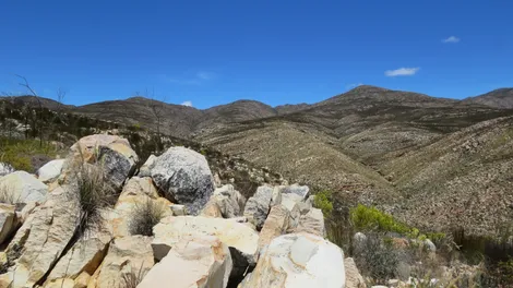 Mountain wilderness vista