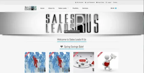 Brand identity web design project