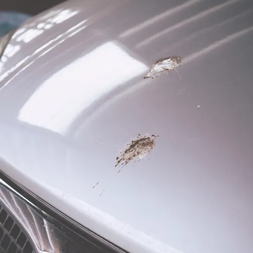 Bird waste damage covered by the ceramic coating warranty