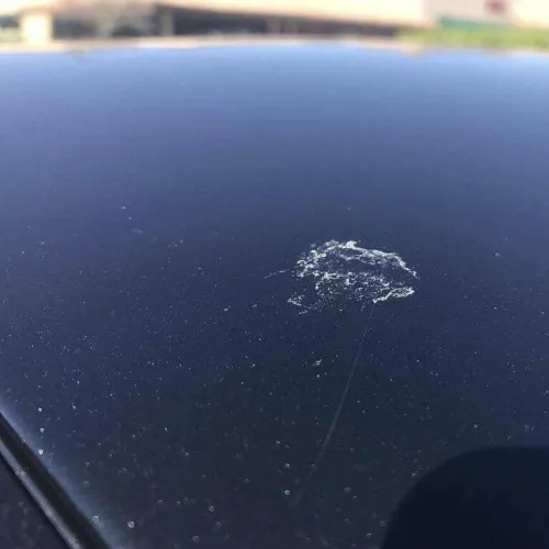 Tree sap damage covered by the ceramic coating warranty