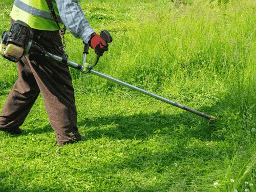 Worker trimming tall grass with a string trimmer