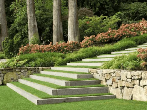Stone steps leading up through a planted hillside garden