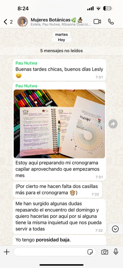 Captura del grupo de WhatsApp Mujeres Botánicas: Pau cuenta que está preparando su cronograma capilar