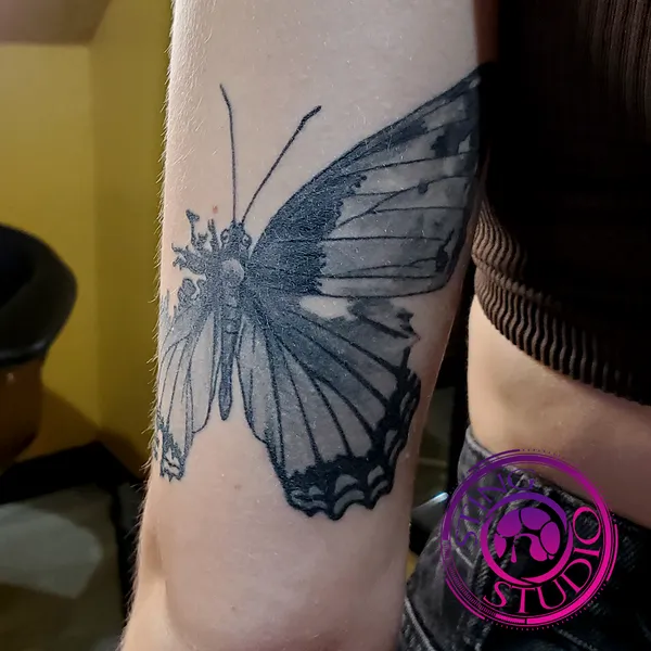 Broken wing butterfly tattoo by Derrick at Sting Studio Ottawa