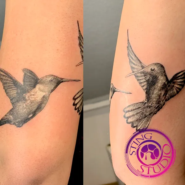 Hummingbird tattoo by Derrick at Sting Studio Ottawa