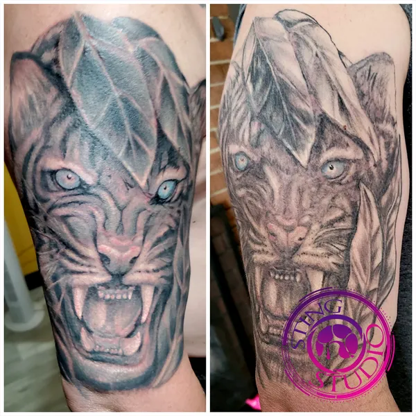Tiger redo tattoo by Derrick at Sting Studio Ottawa