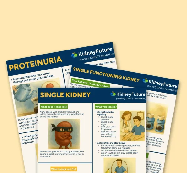 Cover of the KidneyFuture medical explainers on proteinuria and single functioning kidney