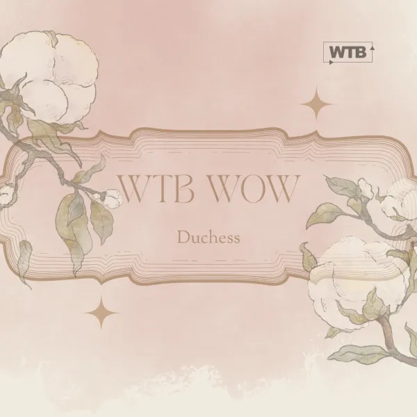 WTB WOW -tapahtuma 14.1.2027 – Image 3