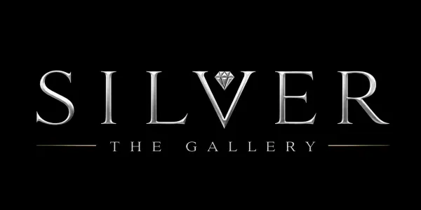 Silver The Gallery