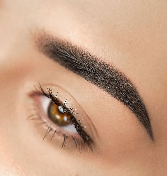 Healed powder brow with a soft ombre finish