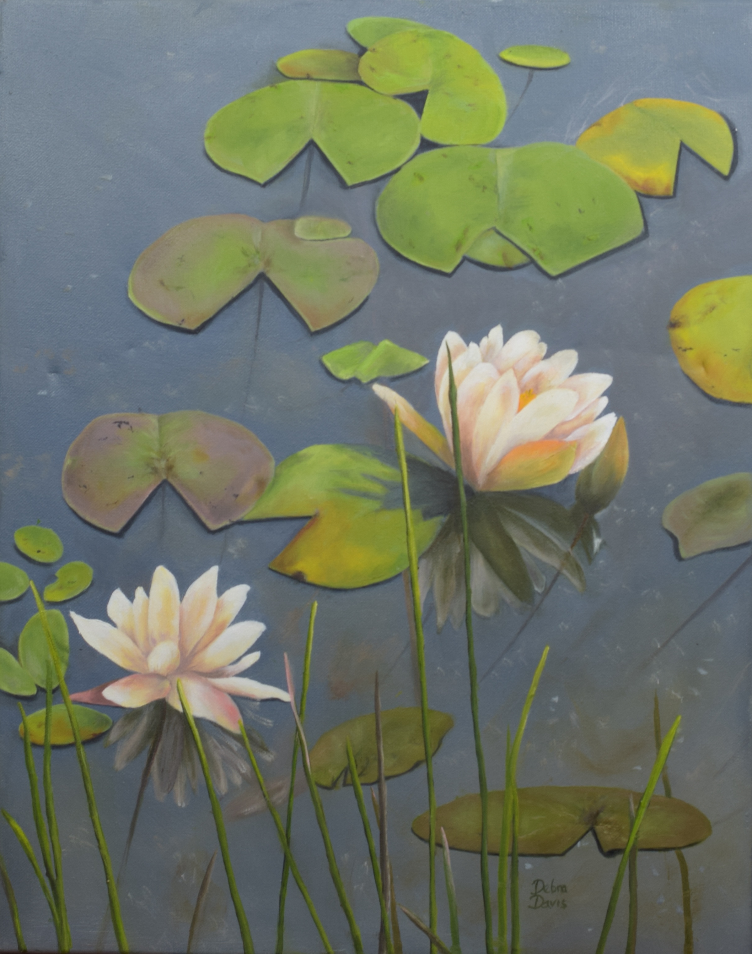 Waterlilies – Image 1
