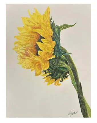 IT'S A BEAUTIFUL SUNNY DAY – Image 3