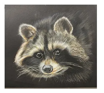 RACCOONATIC – Image 4