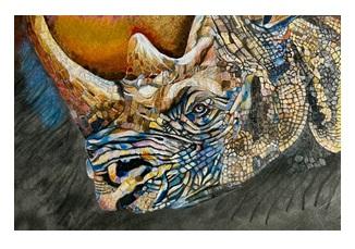 BLUE MOON RHINO – Image 2