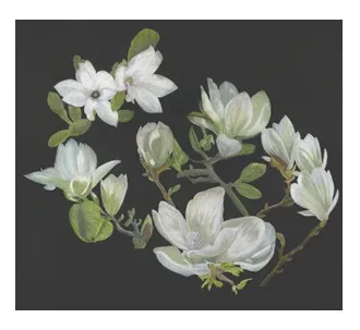 Sweet Magnolias – Image 3