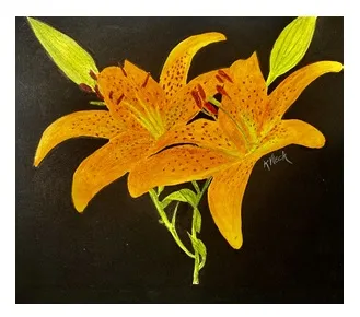 TIGER'S LILLY – Image 4