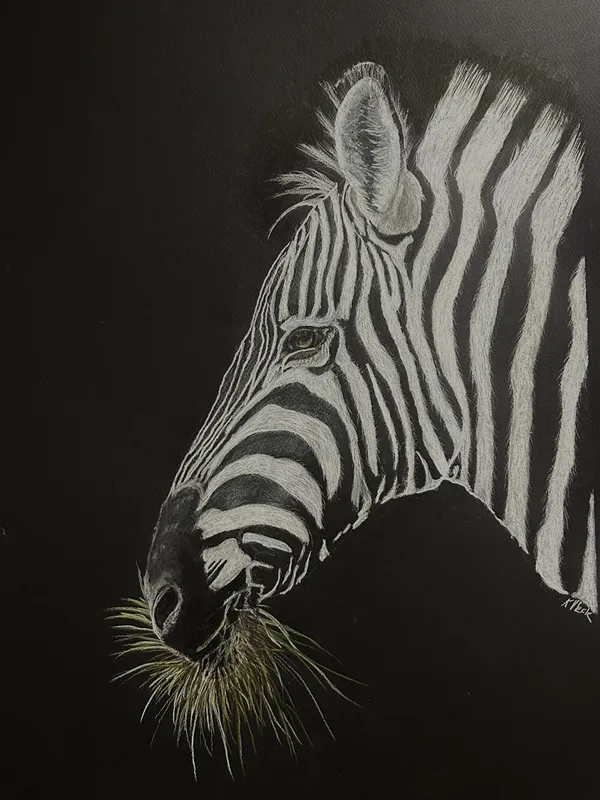 THE STRIPES HAVE IT – Image 3