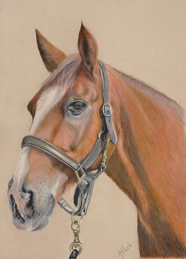 JUST HORSING AROUND – Image 3