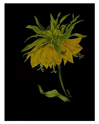 BLACK WITH SUNFLOWER – Image 5