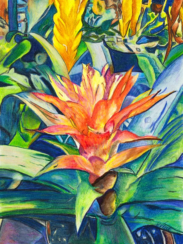 Bromeliads, Bromeliads, Lemonade  – Image 2