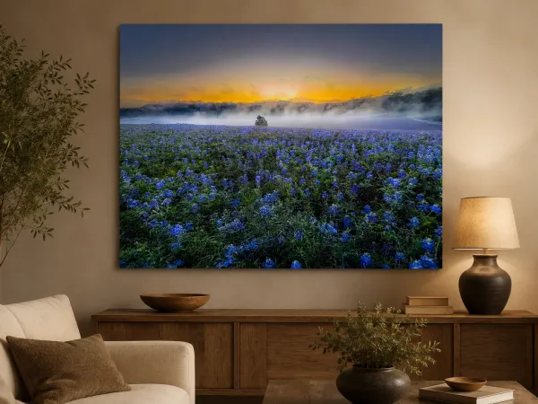 Bluebonnet Morning – Image 2