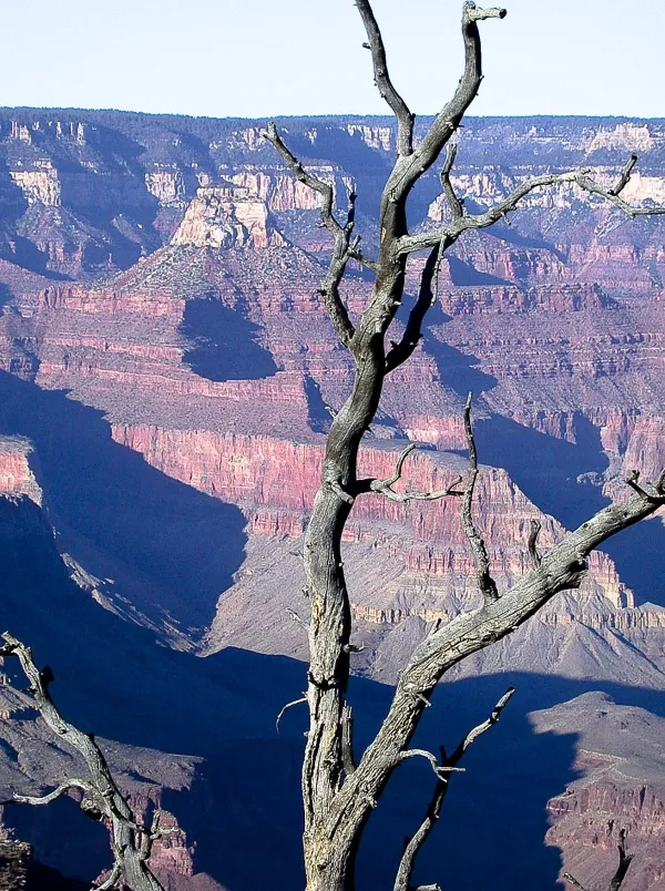 Grand Canyon - Standing Watch – Image 4
