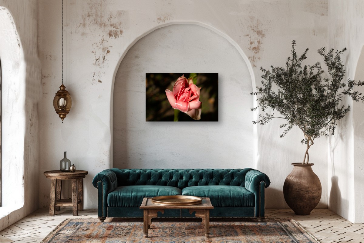 Blush of Eden – Image 2