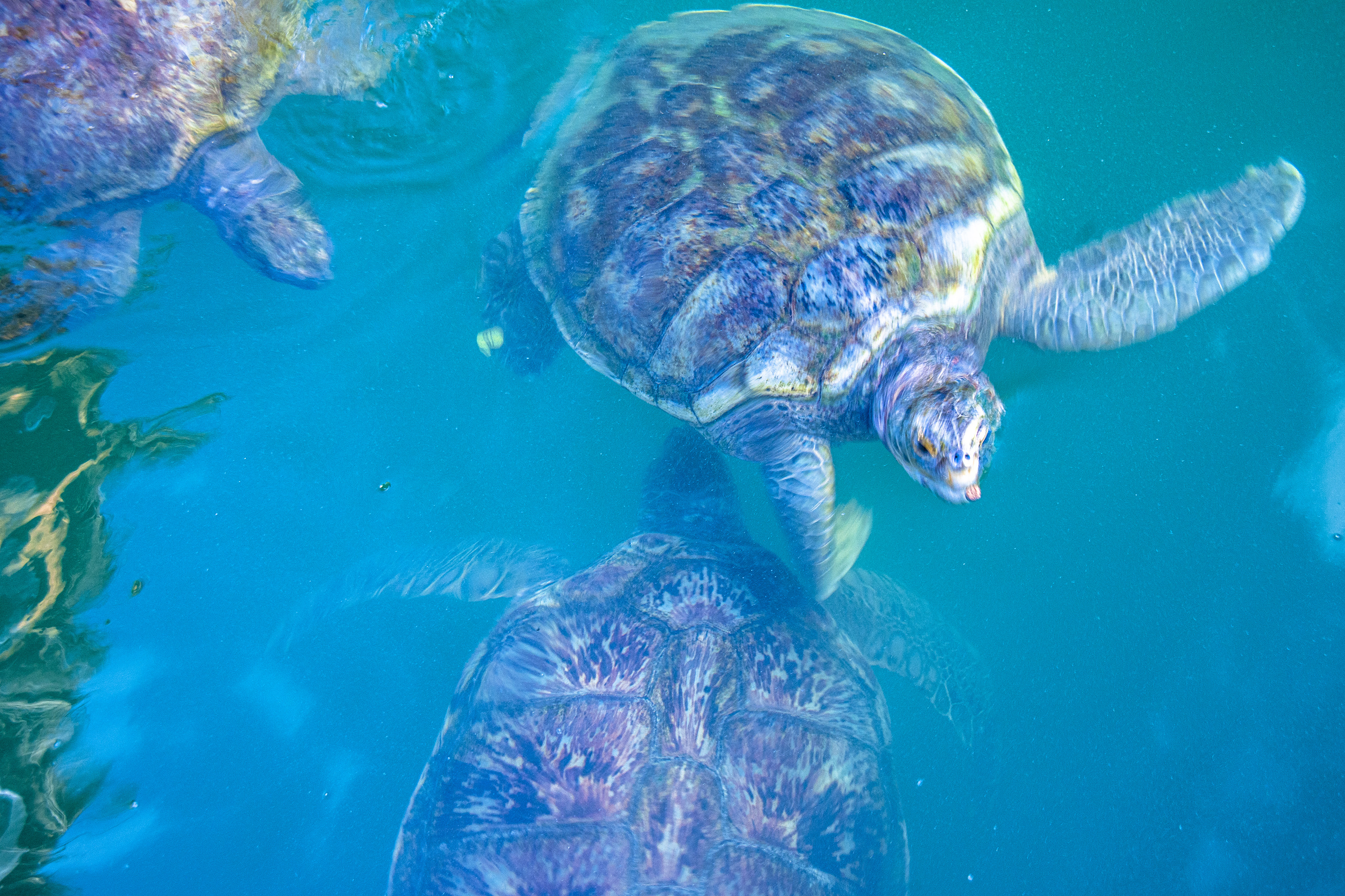Reflections of the Sea – Image 5