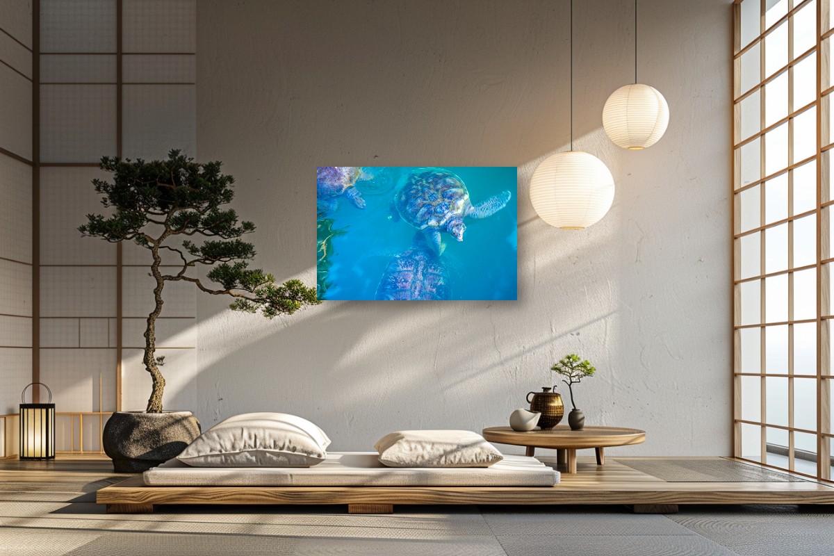 Reflections of the Sea – Image 4