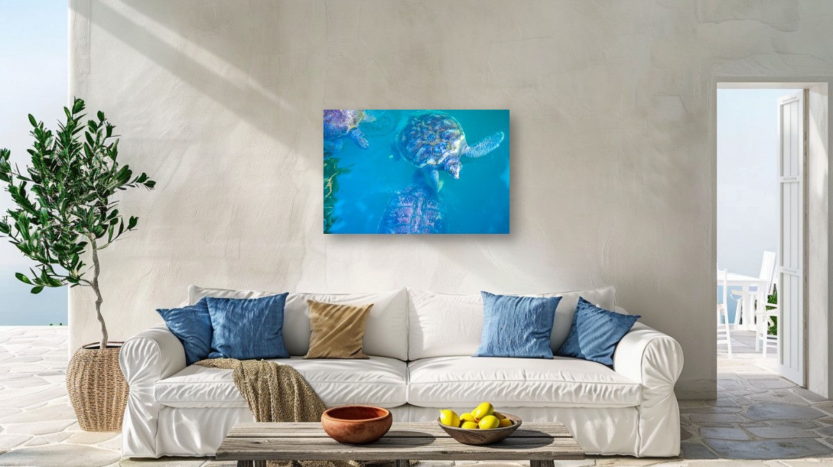 Reflections of the Sea – Image 3