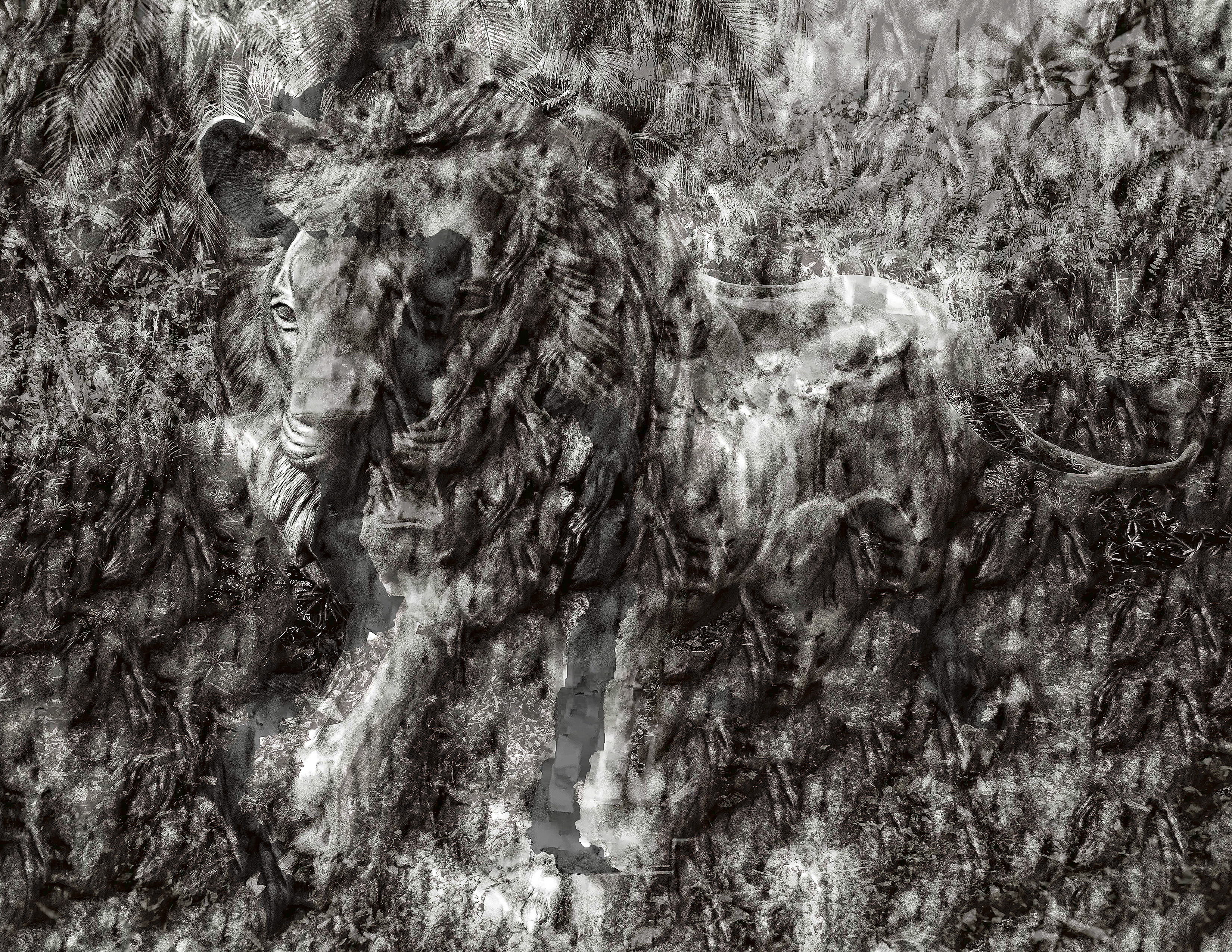 Spirit of the Lion – Image 5